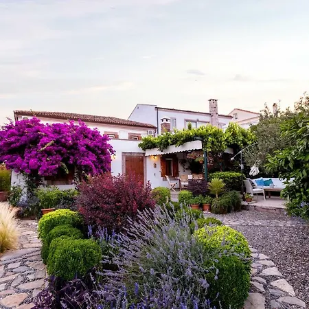 Begonvilla Evleri * Ayvalik